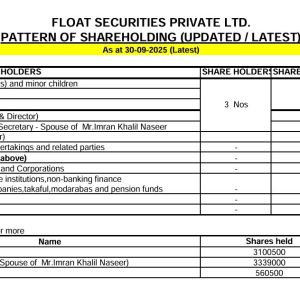 Shareholding pattern